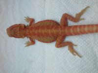 20140705_130913.jpg