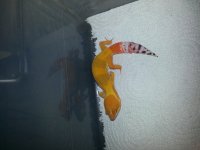 20140625_221819.jpg