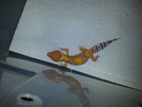 20140625_221401.jpg