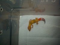 20140611_135058.jpg