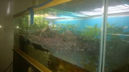WP_20140727_003.jpg