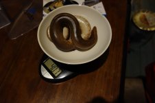 DSC01122.jpg