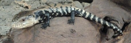 20140628_162336.jpg