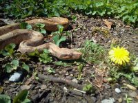 2014-04-10 13.04.43.jpg