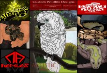 Advertisement Collage.jpg