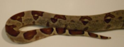 00002-2.jpg