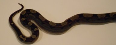 00004-3.jpg
