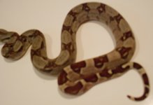 00010-2.jpg