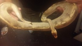 20140623_125254.jpg