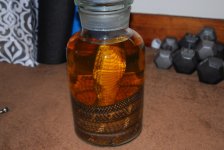 DSC_0181.jpg