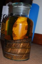 DSC_0182.jpg