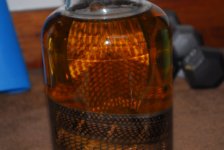 DSC_0183.jpg
