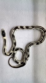 IMG_20140517_113937_535.jpg