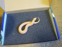 2014-Albino-007 003.jpg