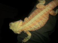 20131204_175737.jpg