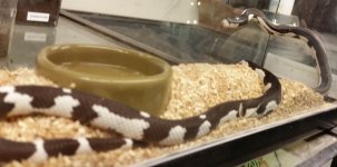 20140828_105456.jpg