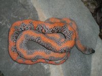 CIMG28371small.JPG