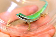 10472742_520636074748460_8971716489287639329_n.jpg