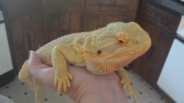 20140904_102752.jpg