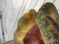 20140718_145741.jpg
