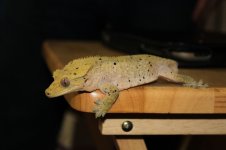 IMG_2692.jpg