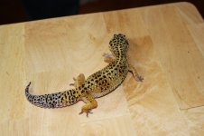 IMG_2714.jpg