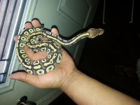 20140301_172247.jpg