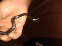 20141007_122629.jpg