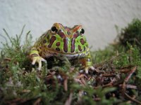 IMG_1434 klein.jpg