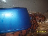 100_2425.jpg
