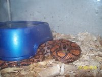 100_2426.jpg