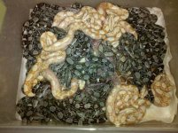 2010-06-169504.19.27.jpg