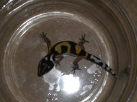 DSCN3761.jpg