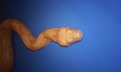 20140905_095624.jpg
