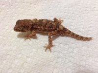 Spike07.14.jpg