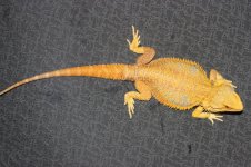 IMG_3496.jpg
