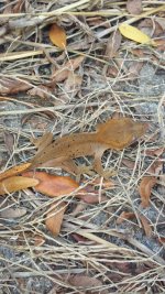 20141019_135346.jpg