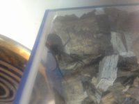 1410650275810.jpg