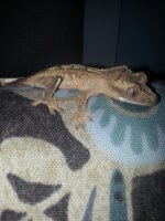 NIALL2.jpg