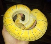 image.jpg