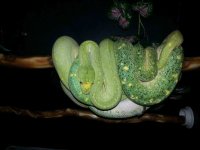 2013062995071923.jpg
