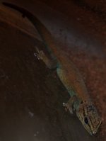 149015_359939_VeryLarge_LTDTsS4U8SAwoY.jpg