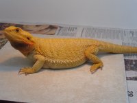 DSC01132.jpg