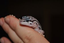 DSC_0134.jpg