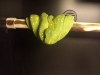 20140118_172905.jpg