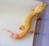 IMG_5108.jpg