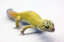 IMG_1759.jpg