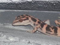 cave4.jpg