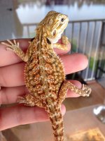 FullSizeRender (12).jpg