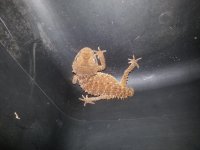 20140630_181007.jpg